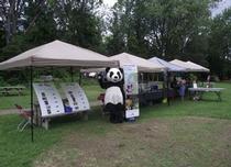 Panda la mascotte du WWF